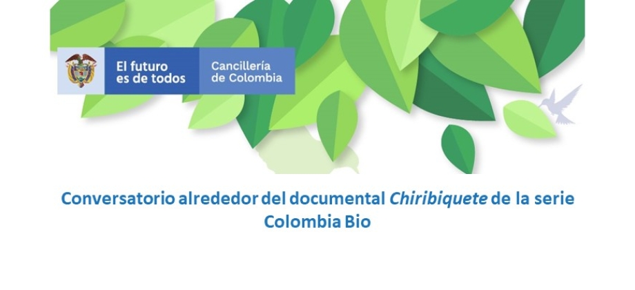 Las Embajadas de Colombia en Bélgica, Israel, Italia, Países Bajos y La Santa Sede invitan al conversatorio online alrededor del documental Chiribiquete de la serie Colombia Bio 